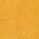 Линолеум Forbo Marmoleum Marbled Authentic 3225 dandelion  | FLOORDEALER